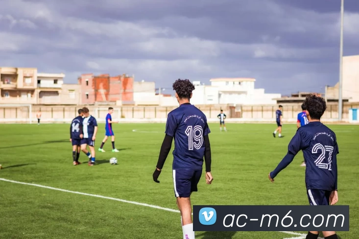 M6体育注册平台生态图